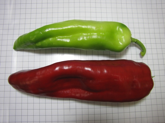 Sweet long Type pepper 730-155 p1